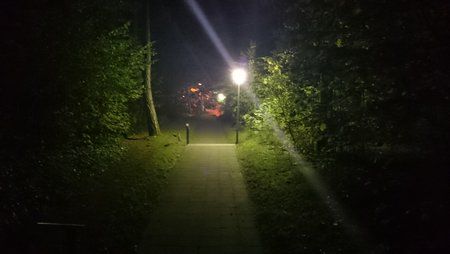 DSC_0037.jpg