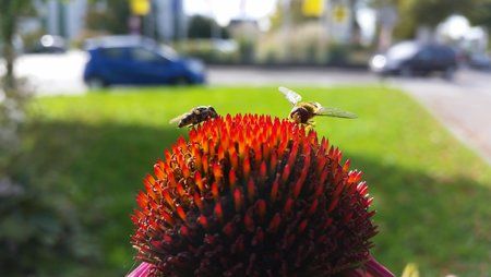 20141015_135337.jpg