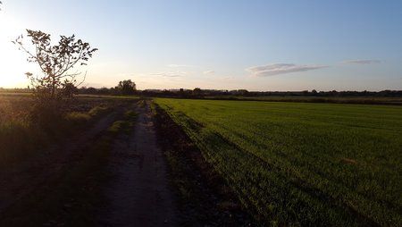 20141014_174130.jpg