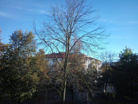 2014-10-18 09.35.33.jpg
