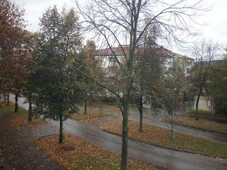2014-10-17 14.04.19.jpg