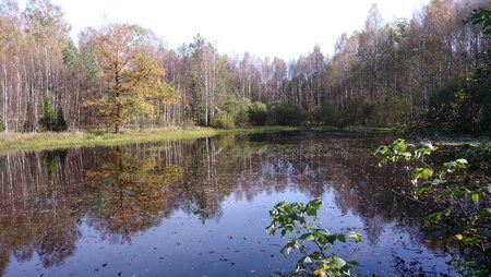 2014-10-18 12.51.09.jpg