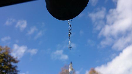 DSC_0102.jpg