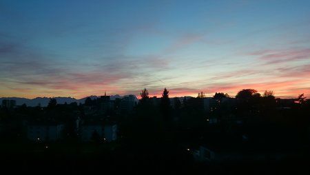 DSC_0007.jpg