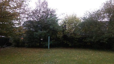 IMAG0352.jpg