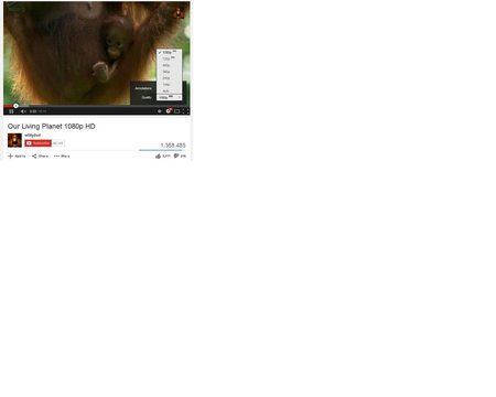 youtube2.jpg