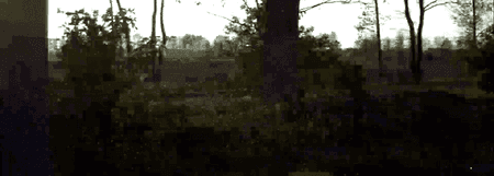 video_sample_crop.png
