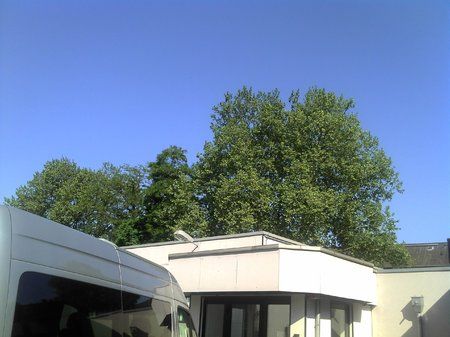 IMG_20110501_164711.jpg