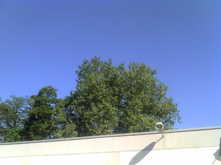 IMG_20110501_164742.jpg