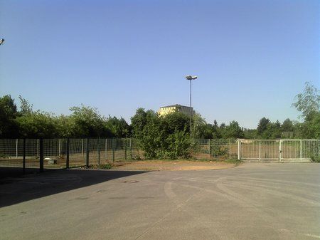 IMG_20110501_164829.jpg