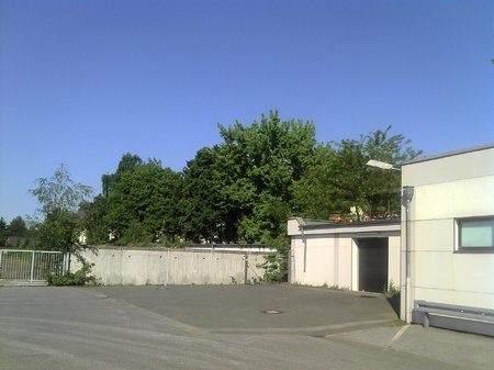 IMG_20110501_164833.jpg
