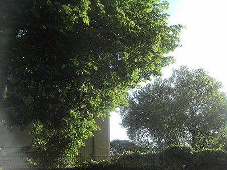 IMG_20110501_180133.jpg