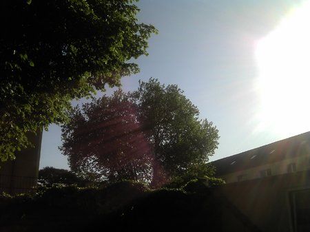 IMG_20110501_180139.jpg