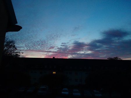 IMG_20141026_173656.jpg