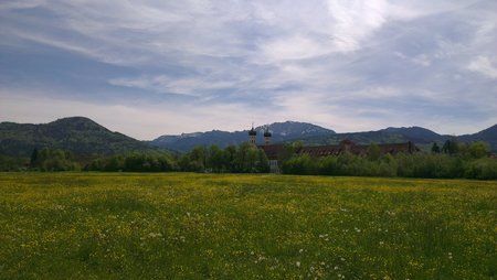 IMAG0062.jpg
