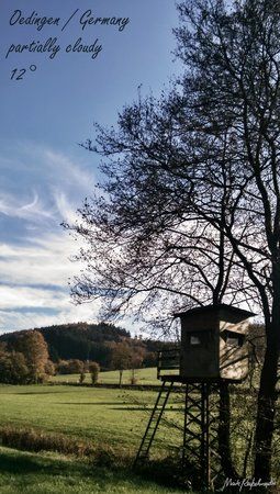 Oedingen_28.10.2014_11-33_weather.jpg