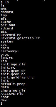 shell3.PNG