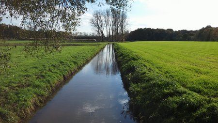 Größenänderung20141102_135423.jpg