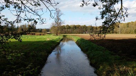 Größenänderung20141102_135434.jpg