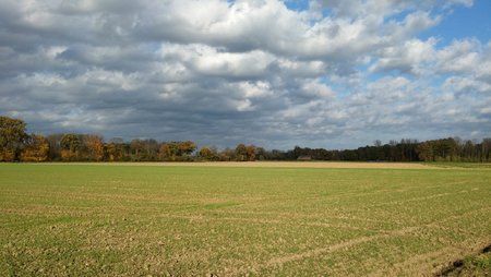 Größenänderung20141102_141826.jpg