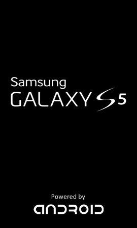 1901256_466124476824509_2382010207400428404_n.jpg