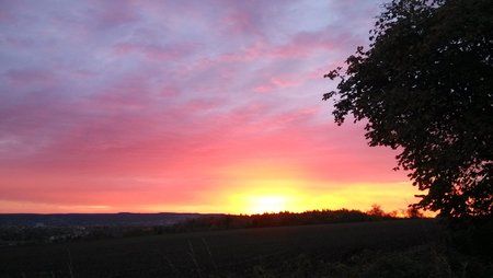 IMG_20141104_071734.jpg