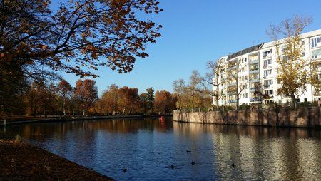 20141108_135640.jpg
