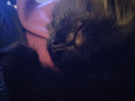 20141108_191421.jpg