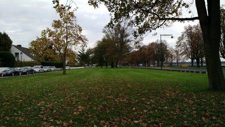 IMG_20141024_161122626.jpg