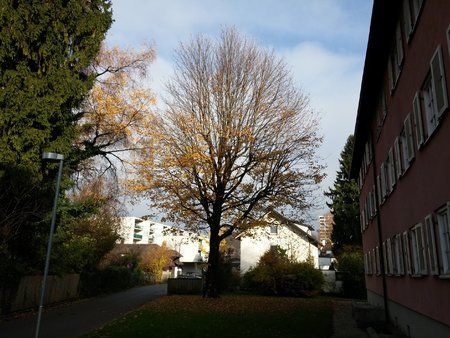 20141114_142145.jpg