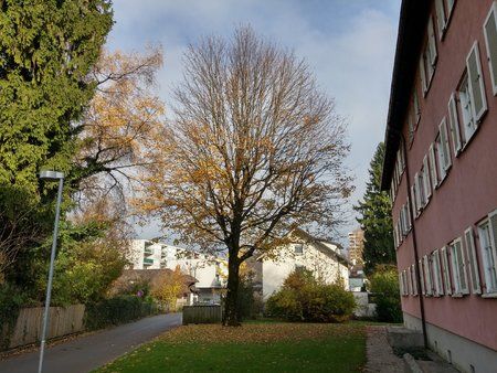 20141114_142204_HDR.jpg