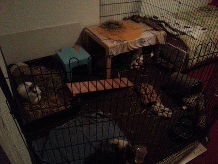 20141114_164637.jpg