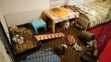 DSC_0034.jpg