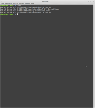 Bildschirmfoto-Terminal.png