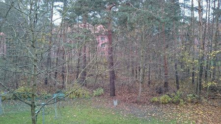 DSC_0001.jpg
