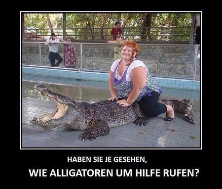 Alligator Hilfe.jpg