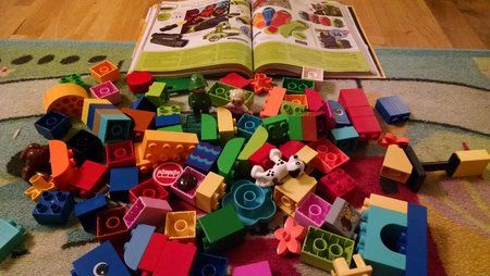 Duplo_LowLight_MX1.jpg