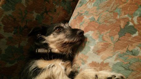 20141119_205037.jpg