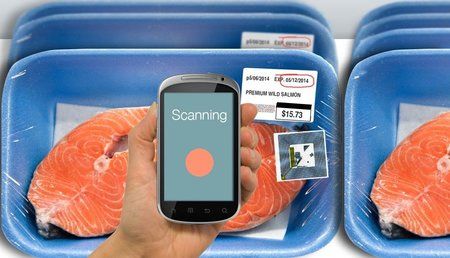 chemical-sensor-wireless-gas-detection-2.jpg