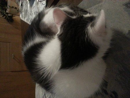 2014-03-22_20-08-00_+2,0Ev.jpg