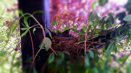 C360_2011-04-30 14-50-00.jpg