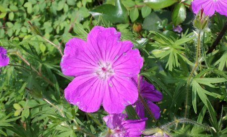2011-05-21 13.50.07.jpg