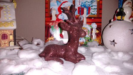 IMG_20141211_163656.jpg