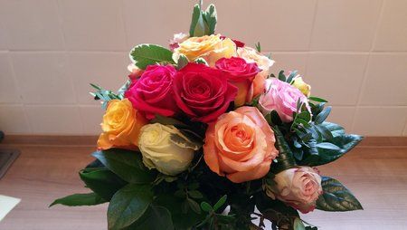 20141217_122616.jpg