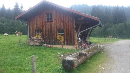DSC_0158.jpg