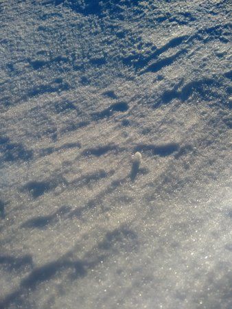 IMG_20141228_151449.jpg