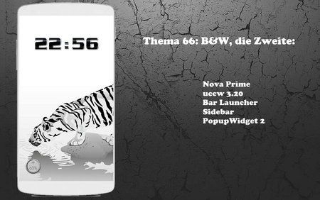 HSW66 B&W-P.jpg