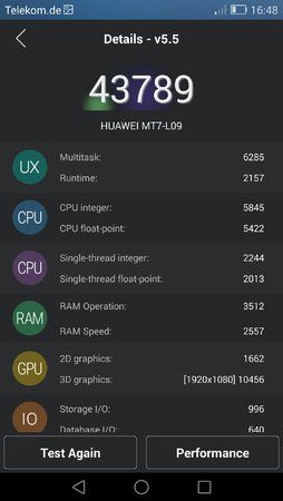 mit root.jpeg