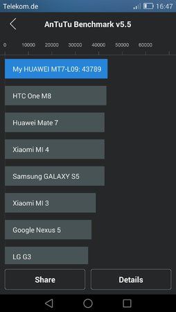 mit root1.jpeg