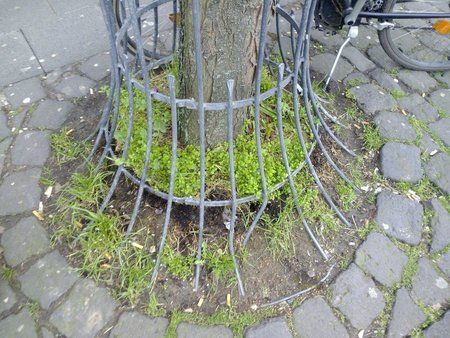 16.jpg 16.jpg